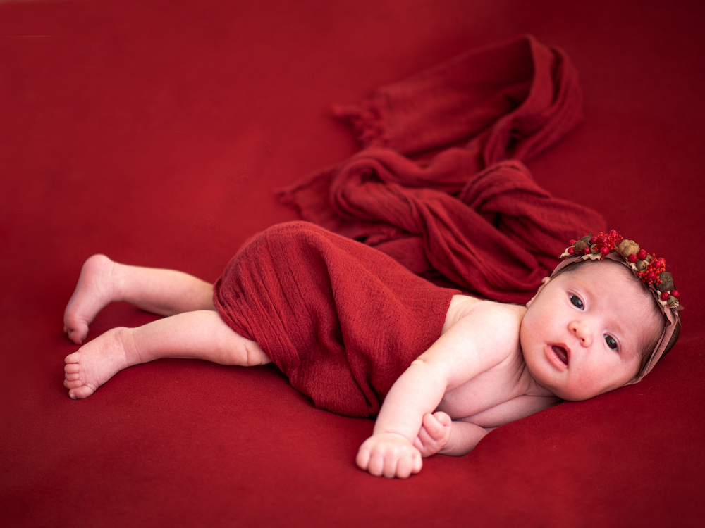 Newborn Styled Photography