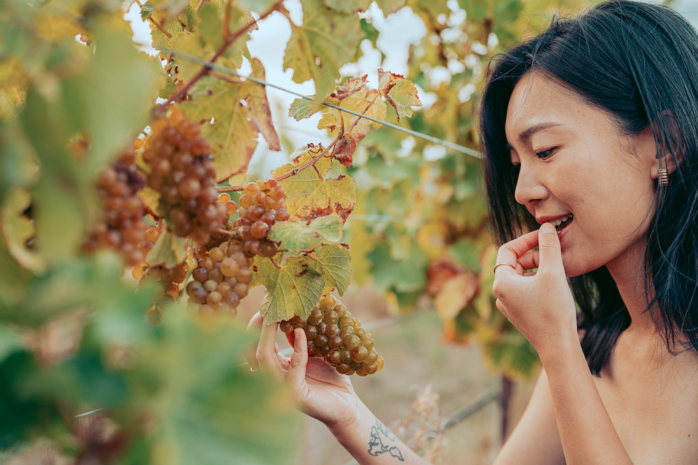 Wineries & Commercial Photography